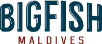 Big Fish Maldives